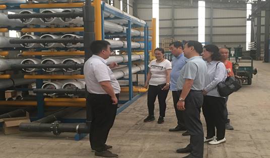 619ae0deb5a3d752c7dda86d8d7ee0f