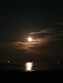 董雪松中秋之夜，携全家去浅水湾海边赏月，祝福所有朋友好景常在，好花常开！